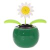 Daisy Solar Pal - Image 2