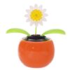 Daisy Solar Pal - Image 3