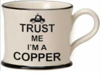 Trust me I'm A Copper Moorland Mug