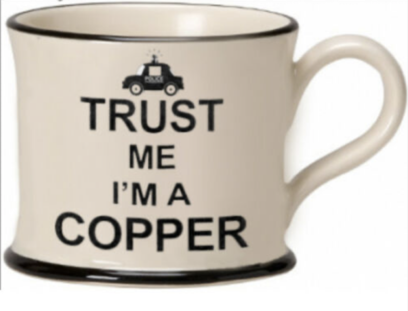 Trust me I'm A Copper Moorland Mug